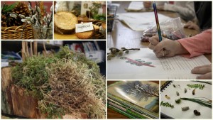 inquiry tree collage