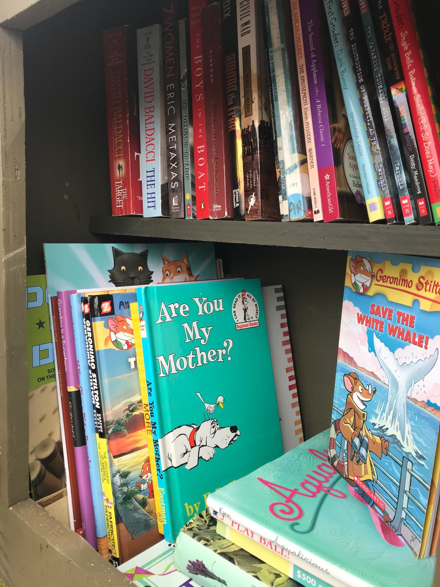 Little Free Library – Love, Laughter, and Literacy